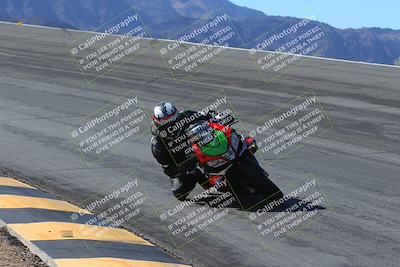 media/Feb-04-2024-SoCal Trackdays (Sun) [[91d6515b1d]]/1-Bowl (950am)/